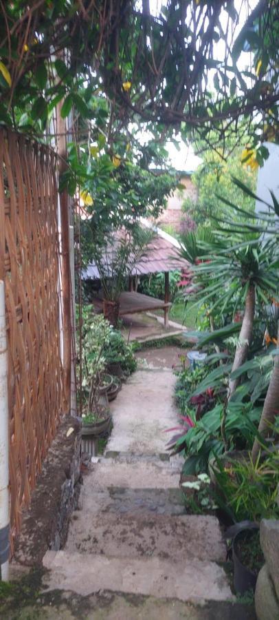 Akria Bed And Breakfast Bayan Luaran gambar